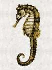 Golden Sea Horse I Art Print
