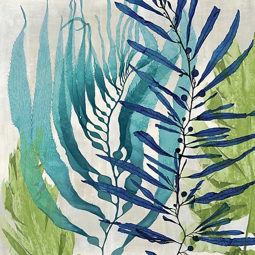 Sea Nature I Art Print by Melonie Miller