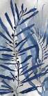 Sea Nature on Silver II Art Print