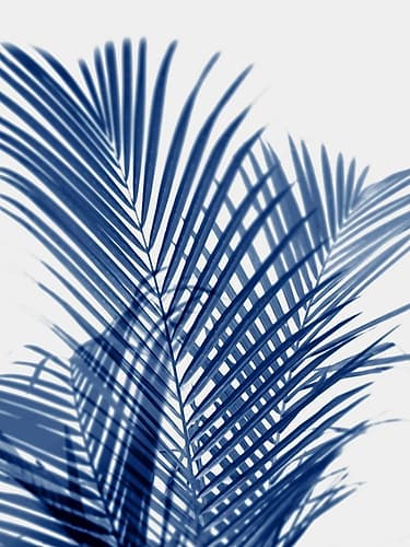 Palm Shadows Indigo I Art Print