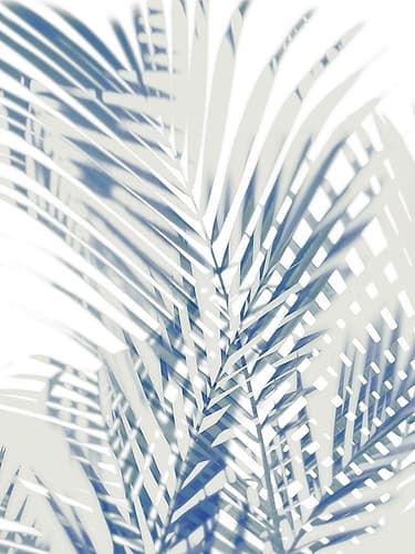Palm Shadows  I Art Print by Melonie Miller