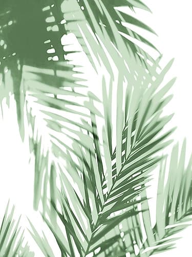 Palm Shadows Green IV Coastal Print