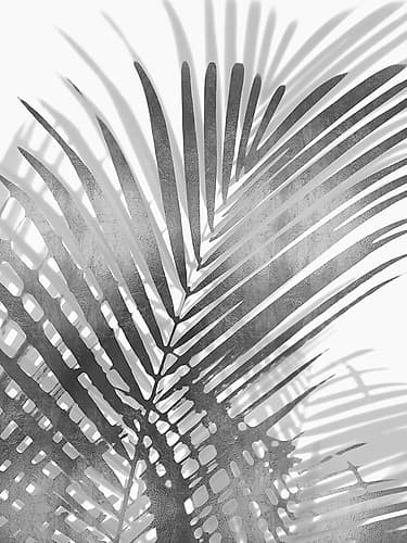 Palm Shadows I Coastal Print