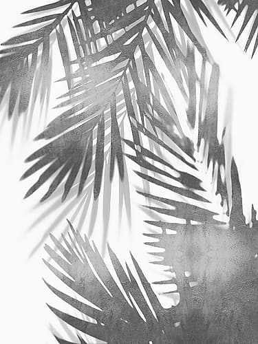 Palm Shadows IV Coastal Print