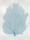 Sea Fan Aqua I Art Print