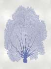 Sea Fan Blue II Art Print
