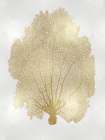 Sea Fan Gold II Art Print