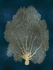 Sea Fan Gold on Teal II Art Print