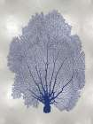 Sea Fan Indigo Blue II Art Print