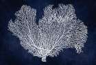 Sea Fan on Indigo Blue I Art Print