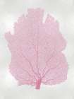 Sea Fan Pink Blush I Art Print