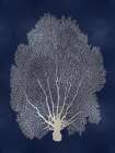 Sea Fan Silver on Blue II Art Print
