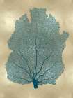 Sea Fan Teal on Gold I Art Print