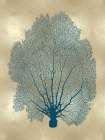 Sea Fan Teal on Gold II Art Print