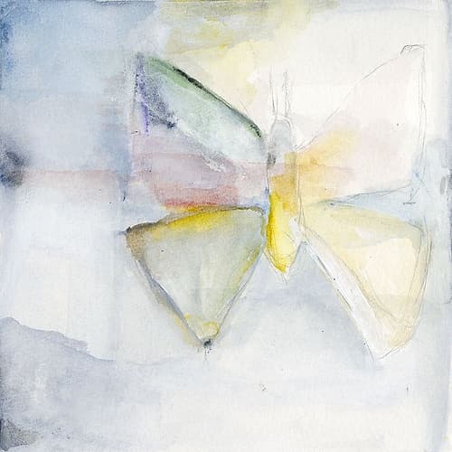 Butterfly II Art Print