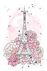 Peony Paris Art Print