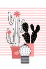 Pink Cactus Art Print