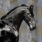 Black Stallion Art Print