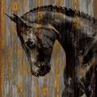 Horse I Art Print