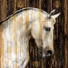 Horse II Art Print