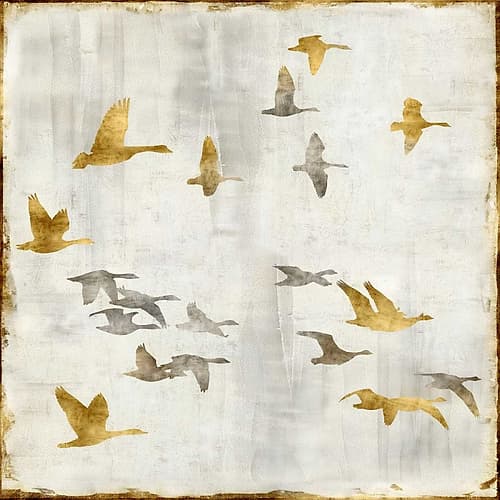 Golden Flight I Art Print by Nick Spencer