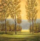 Misty Morning I - by Thomas, Neil | C Brand Studios | Thomas, Neil