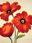 Orange Poppies Art Print