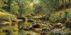 A Woodland River in Summer Art Print