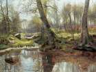 A Woodland Spring Art Print