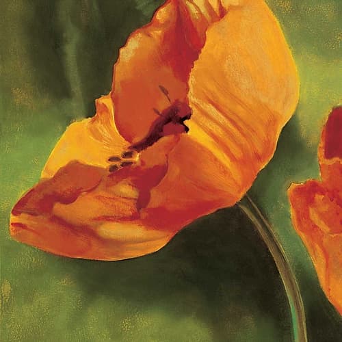 Coquelicots dans le soleil I Art Print