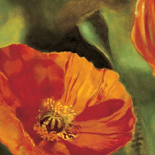 Coquelicots dans le soleil 2 Art Print by Pierre Viollet