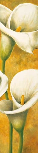 Concert de callas III Art Print