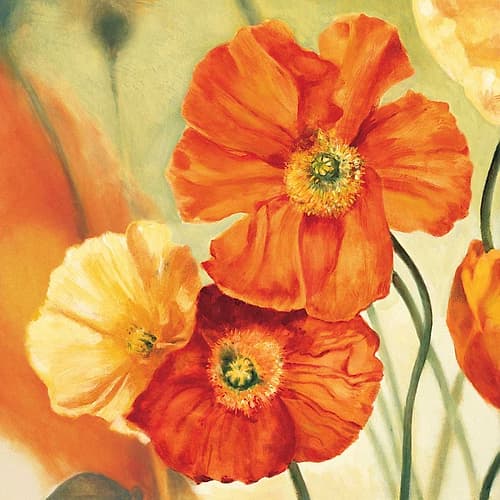 Champs de coquelicots I Art Print