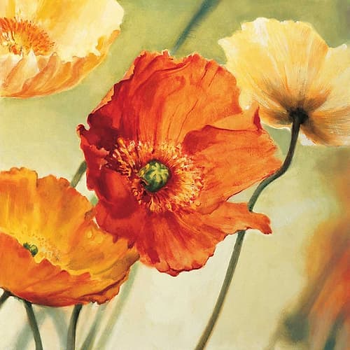 Champs de coquelicots II Art Print