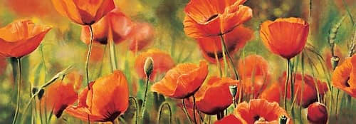 Symphonie de coquelicots Art Print