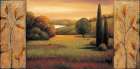 Sunlit Art Print by Rachael Sullivan