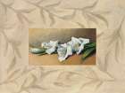 Flores II Art Print