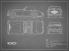 Austin-Healey 100-Grey Art Print