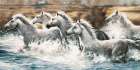 Running Wild Art Print