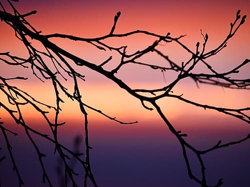 Abstract Sunset Art Print by Savanah Plank