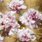 Peonies on Gold I Art Print by Shawna Sullivan