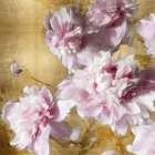 Peonies on Gold II Art Print by Shawna Sullivan