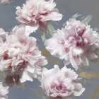 Peonies on Gray and Gold I Art Print by Shawna Sullivan