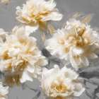 Peonies Yellow I Art Print by Shawna Sullivan