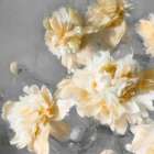 Peonies Yellow II Art Print by Shawna Sullivan