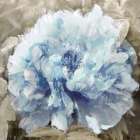 Solo Blue II Art Print by Shawna Sullivan