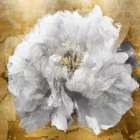 Solo on Gold II Art Print by Shawna Sullivan