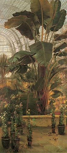 The Tropical House-Kew Gard Decorative Print