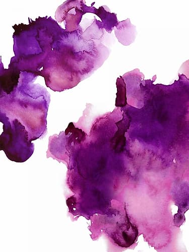Elevate Fuchsia Art Print by Lauren Mitchell