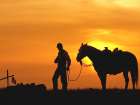 Evening Visit Art Print